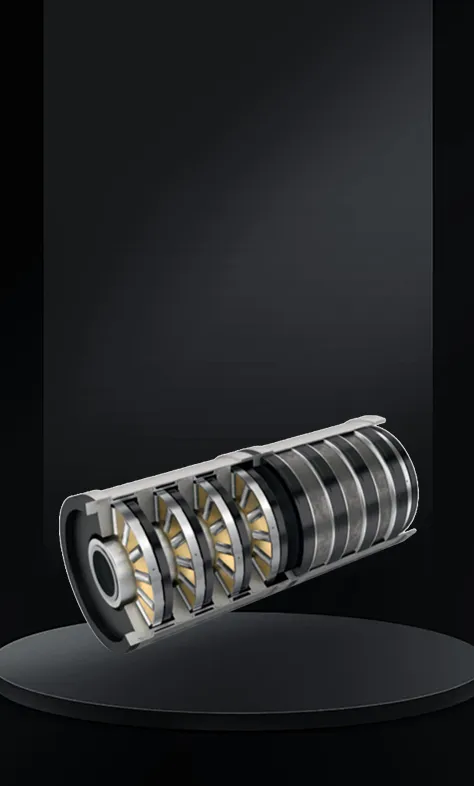 Tandem Bearing